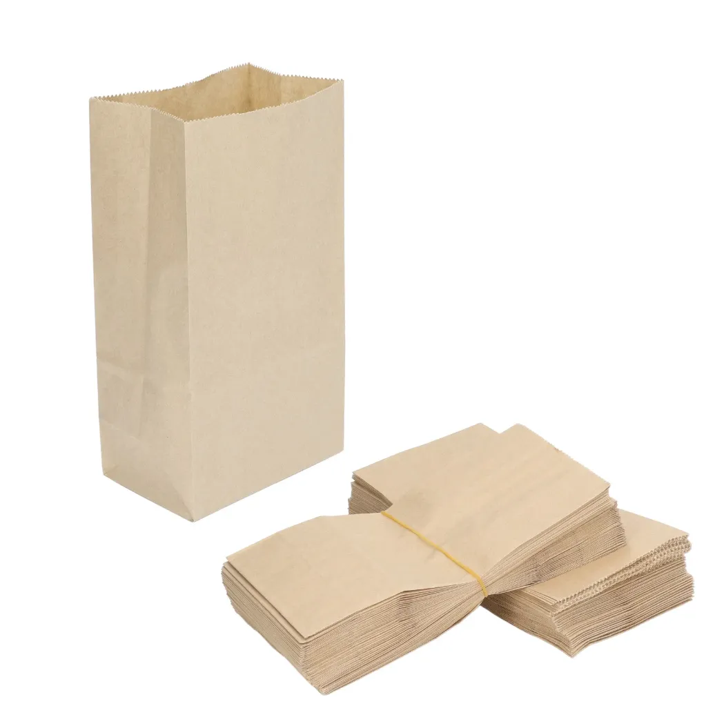 045100000009 CO Paper Bag Medium 80GSM 15X10X5"